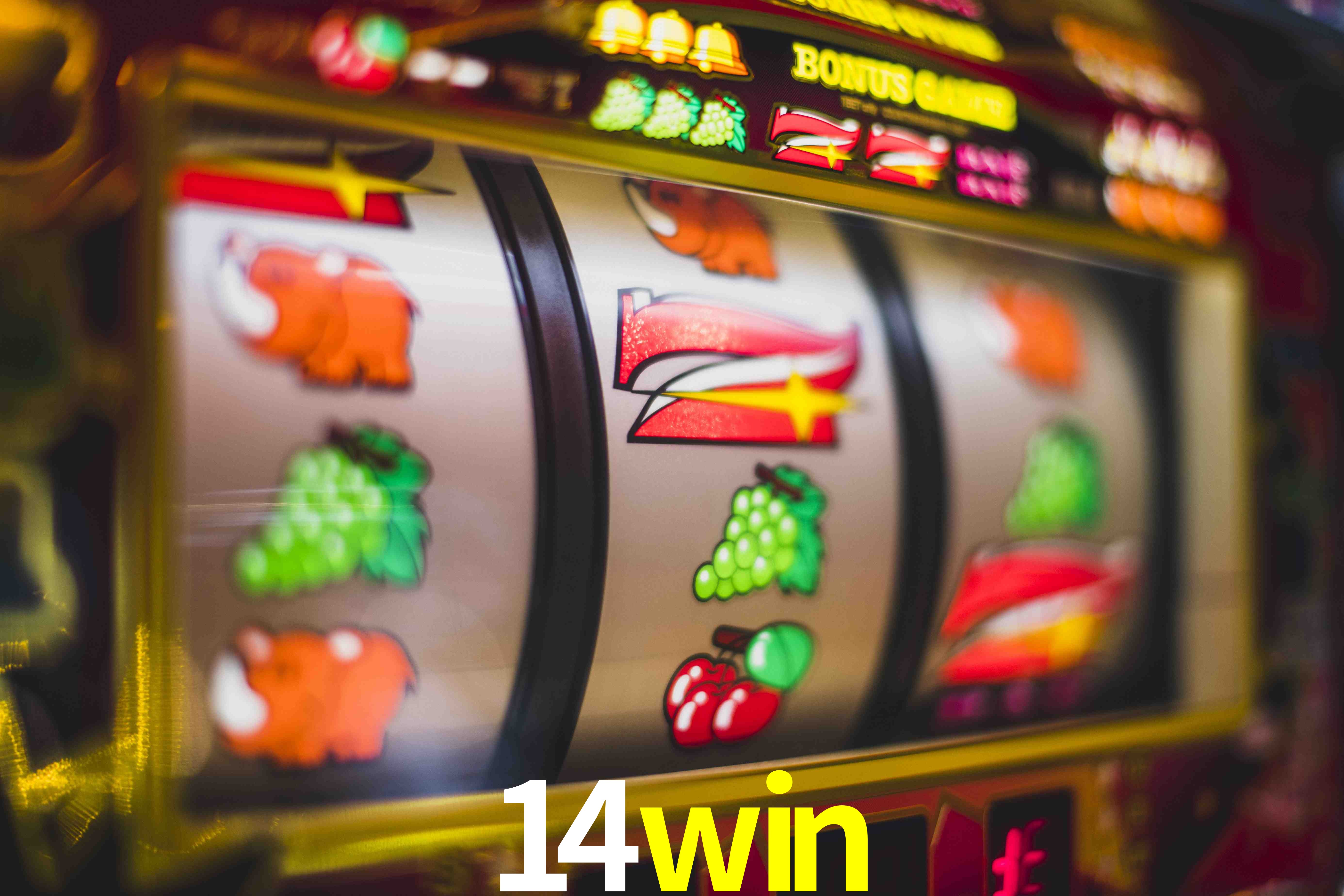 VIP Casino 14win